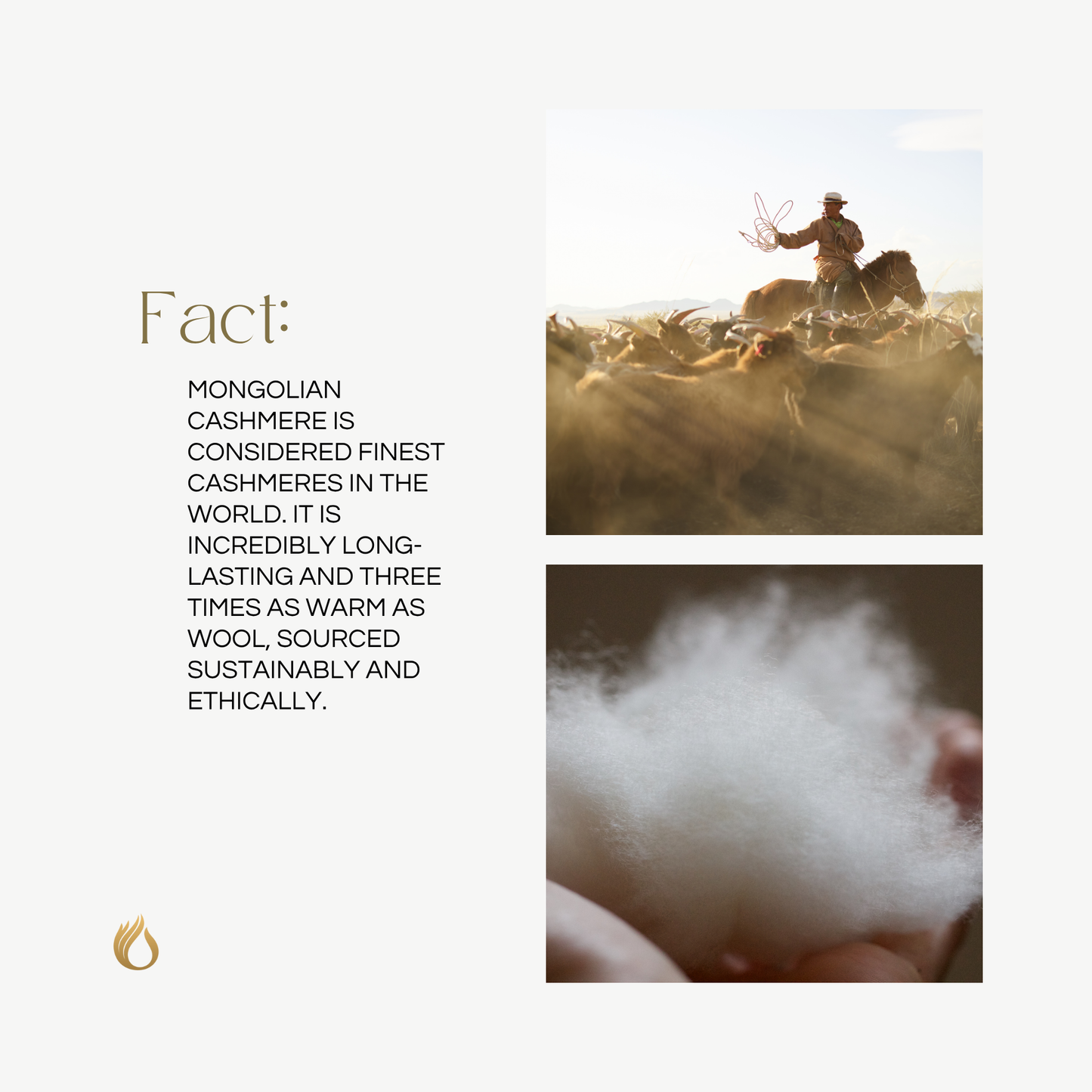 Organic Cashmere Socks from Mongolia – Soft Warm Ribbed Socks – Gift Ready-Boxed